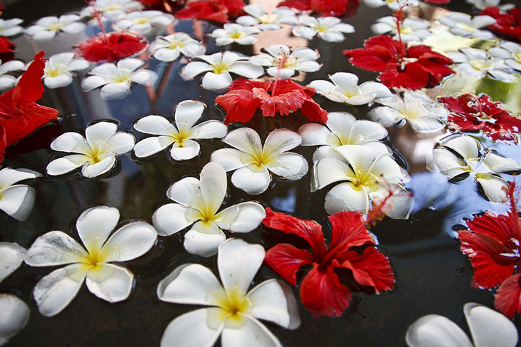 Flowers floating in water Image by luxstorm from Pixabay