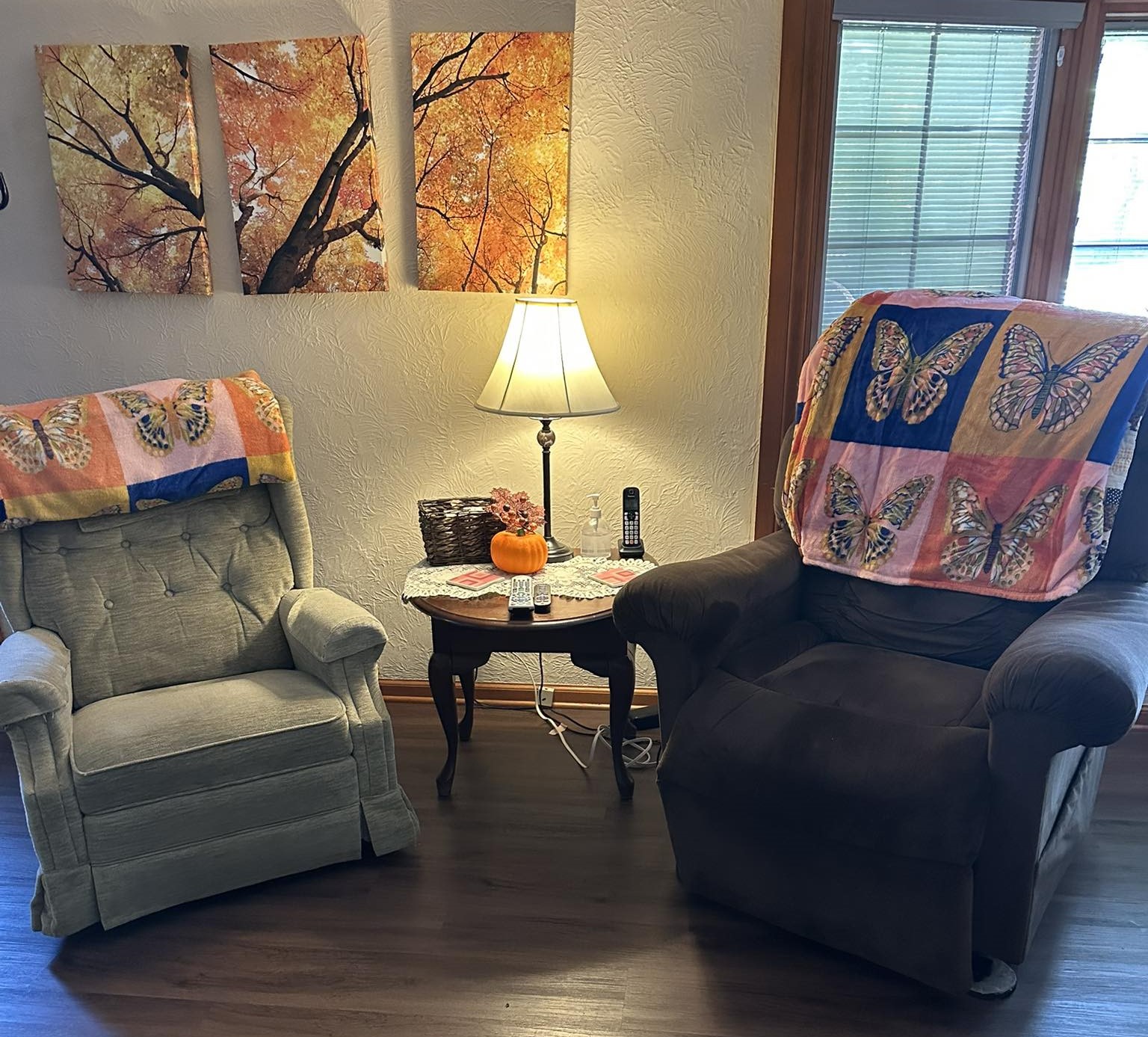 A pair of comfortable chairs in the Wings Home living room, draped with butterfly blankets