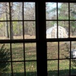 Wings Home backyard view