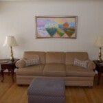 Wings Home couch